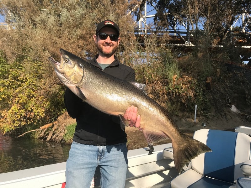Sacramento River: Salmon Fishing Ranges From Fair To Good