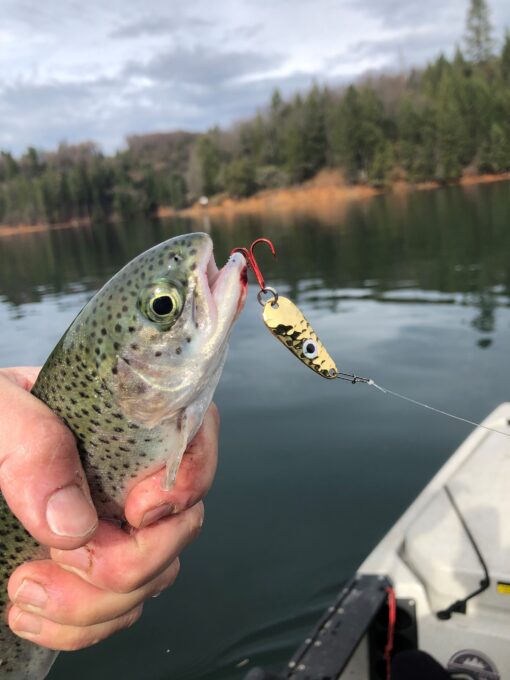 Sugar Pine Reservoir: Top Spot For Sierra Anglers Hunting For Trout & Bass