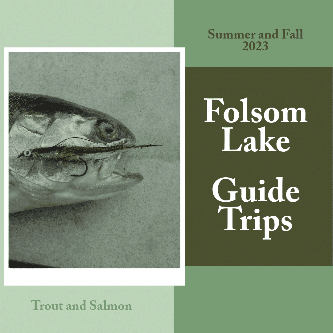 Instructional Fishing Trip at Folsom Lake